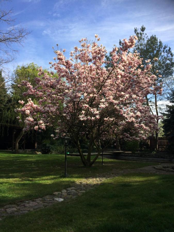 Satnatorium Bed and Breakfast Tuczno Εξωτερικό φωτογραφία