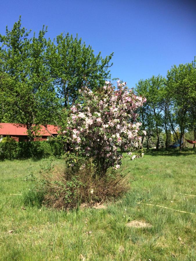 Satnatorium Bed and Breakfast Tuczno Εξωτερικό φωτογραφία