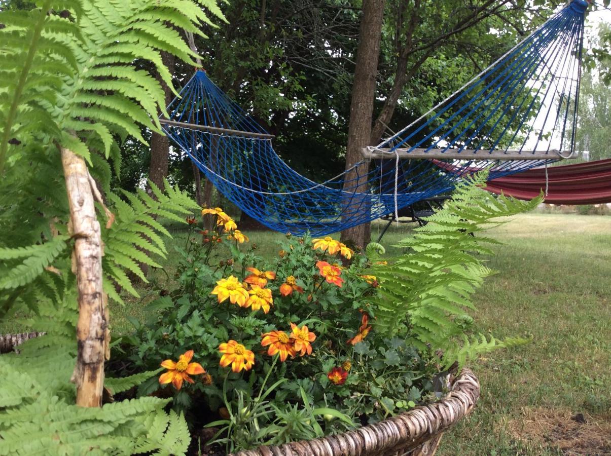 Satnatorium Bed and Breakfast Tuczno Εξωτερικό φωτογραφία