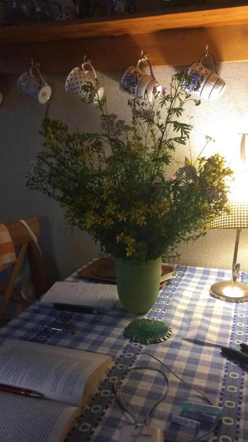 Satnatorium Bed and Breakfast Tuczno Εξωτερικό φωτογραφία